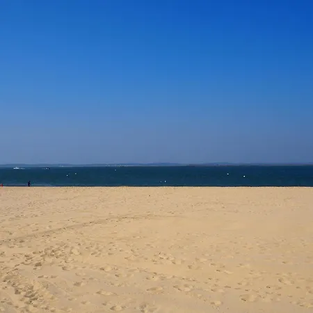 アパート T2 Avec Terrasse Proche Centre Et D'arcachon - Fr-1-474-230
